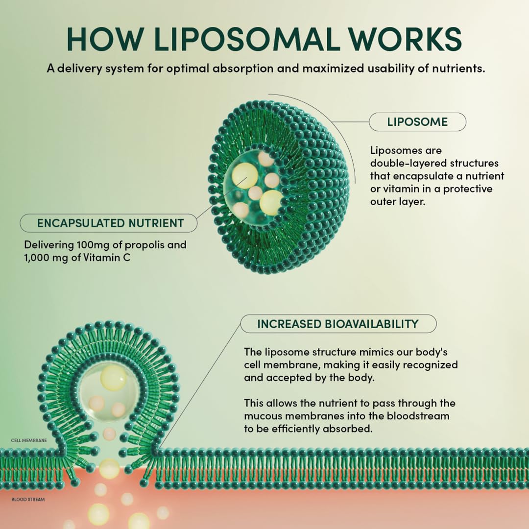 Propolis Liposomal Vitamin C by Beekeeper's Naturals, 1000mg Vitamin C, Propolis & Organic Honey, Supercharged Immune Support & Increased Bioavailibity for Max Absorption, 12 Ct