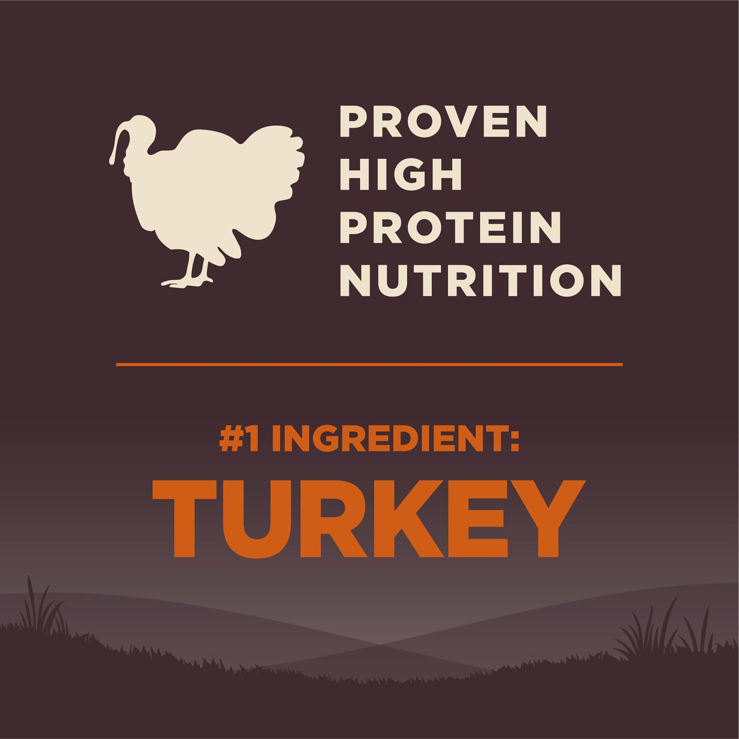 Wellness CORE Grain-Free High-Protein Small Breed Dry Dog Food, Natural Ingredients, Made in USA with Real Meat (Adult, Turkey, 4-Pound Bag)