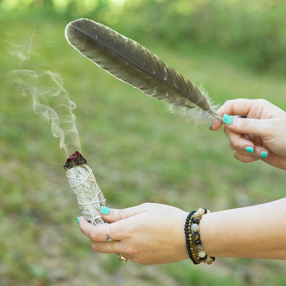 Purple Canyon Smudge Kit (Beginner's Gift Set) - 3 White Sage Smudge Sticks, 2 Palo Santo, Abalone Shell, Smudge Feather w/Stand + Smudging Guide for Home Cleansing & Healing Meditation Rituals