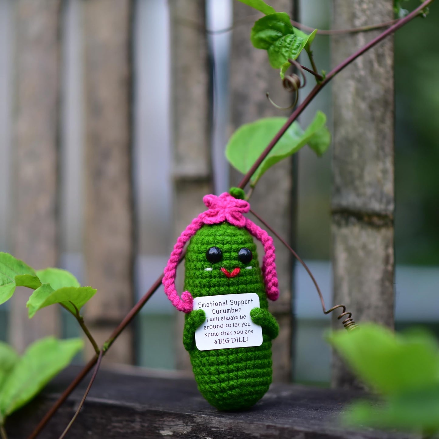 KALAWALK Funny Crochet Pickles 1 Pcs with Affirmations Cards for Inspirational Novelty Good Luck Gift and Party Decorations (KK-CKD04- REDCUM)
