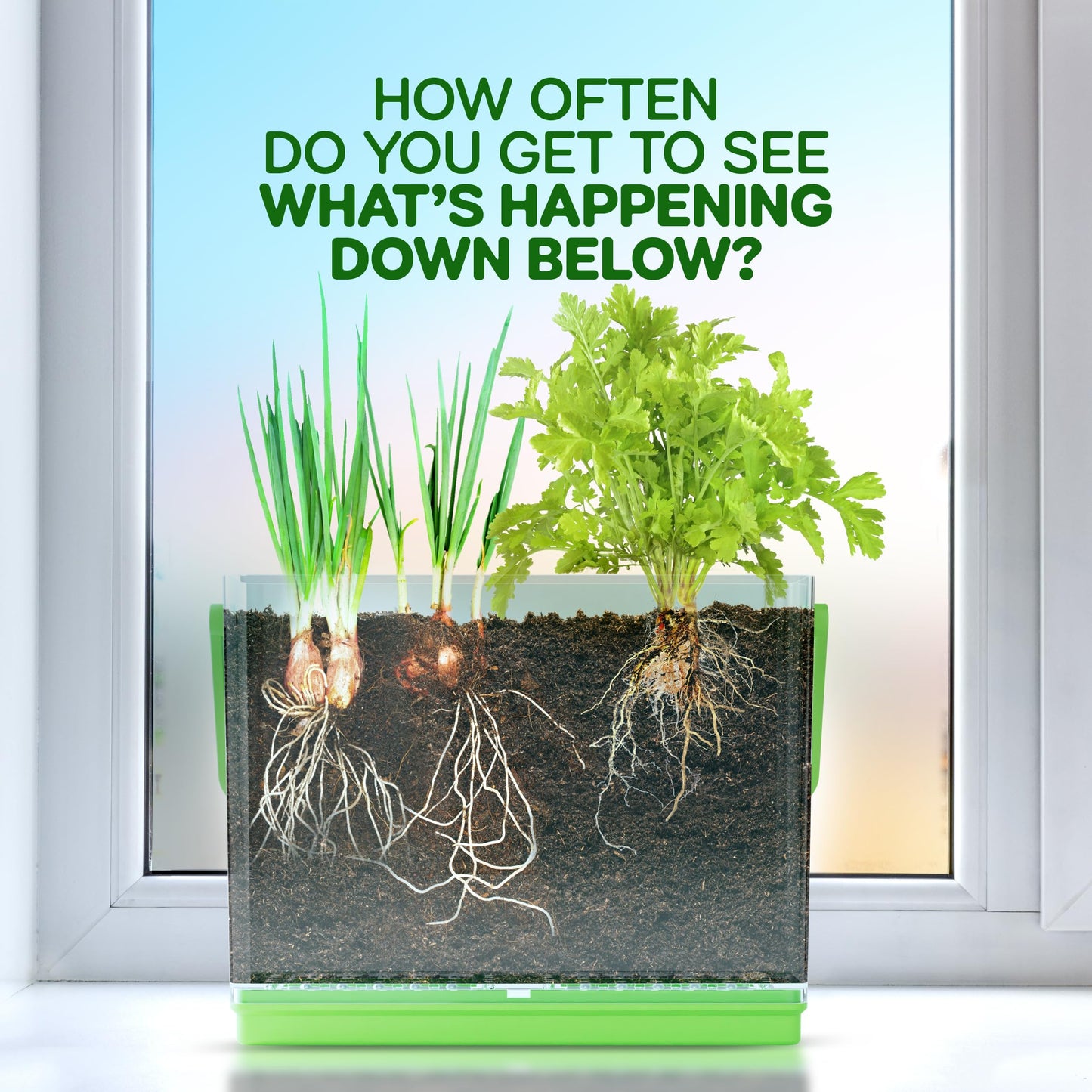 Root Viewer Kit for Kids - Easter Gifts - Grow Your Own Plant for Boys & Girls - Science STEM Toy & Craft Growing Kits for Ages 4-8 Birthday Gifts for Boy, Girl 4, 5, 6, 7, 8, Year Old - Gardening Toy