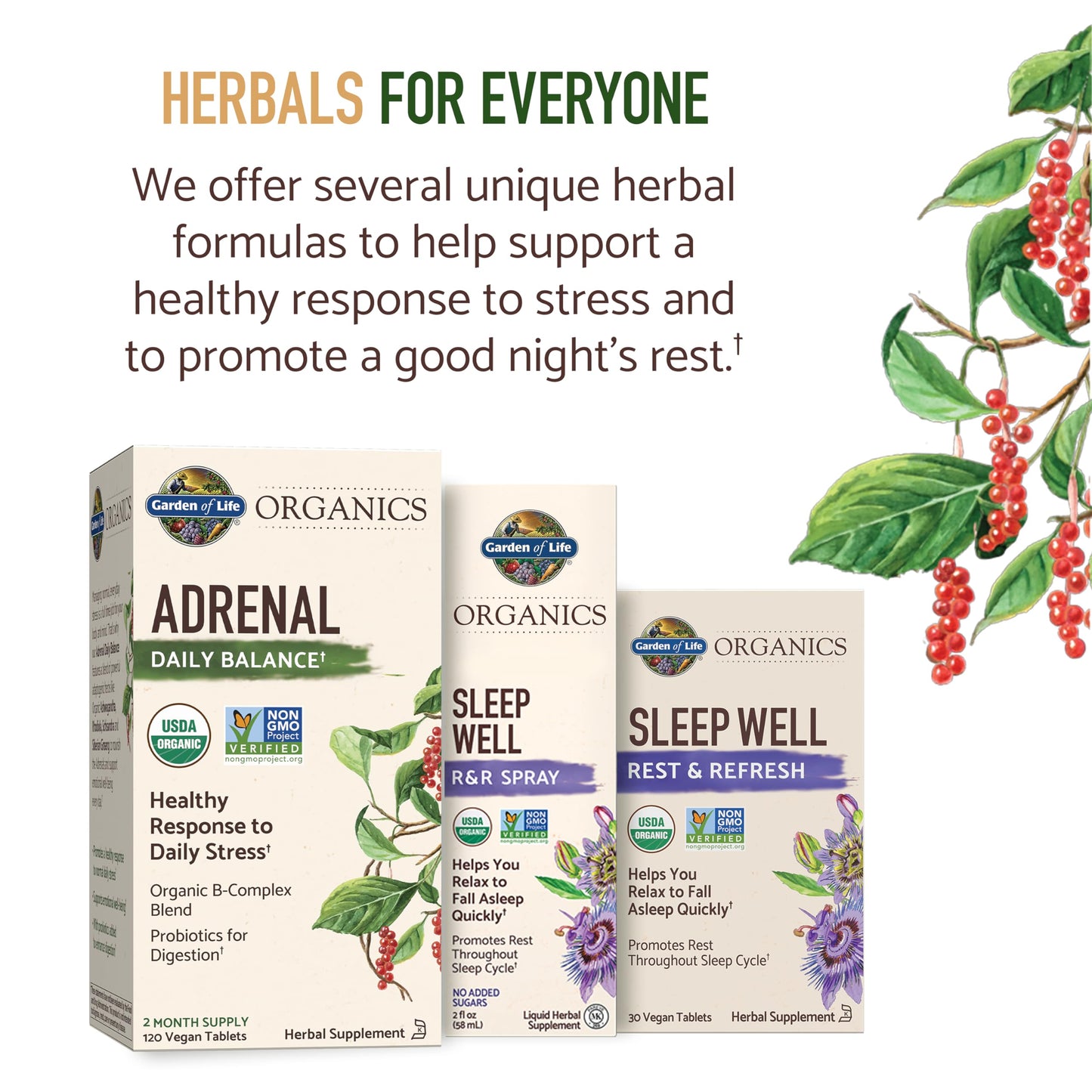 Garden of Life Organics Sleep Well Rest & Refresh 30 Tablets, Lemon Balm, Green Tea Extract L-Theanine, Valerian Root, Chamomile, Probiotics-Organic Non-GMO Vegan Gluten Free Herbal Supplement
