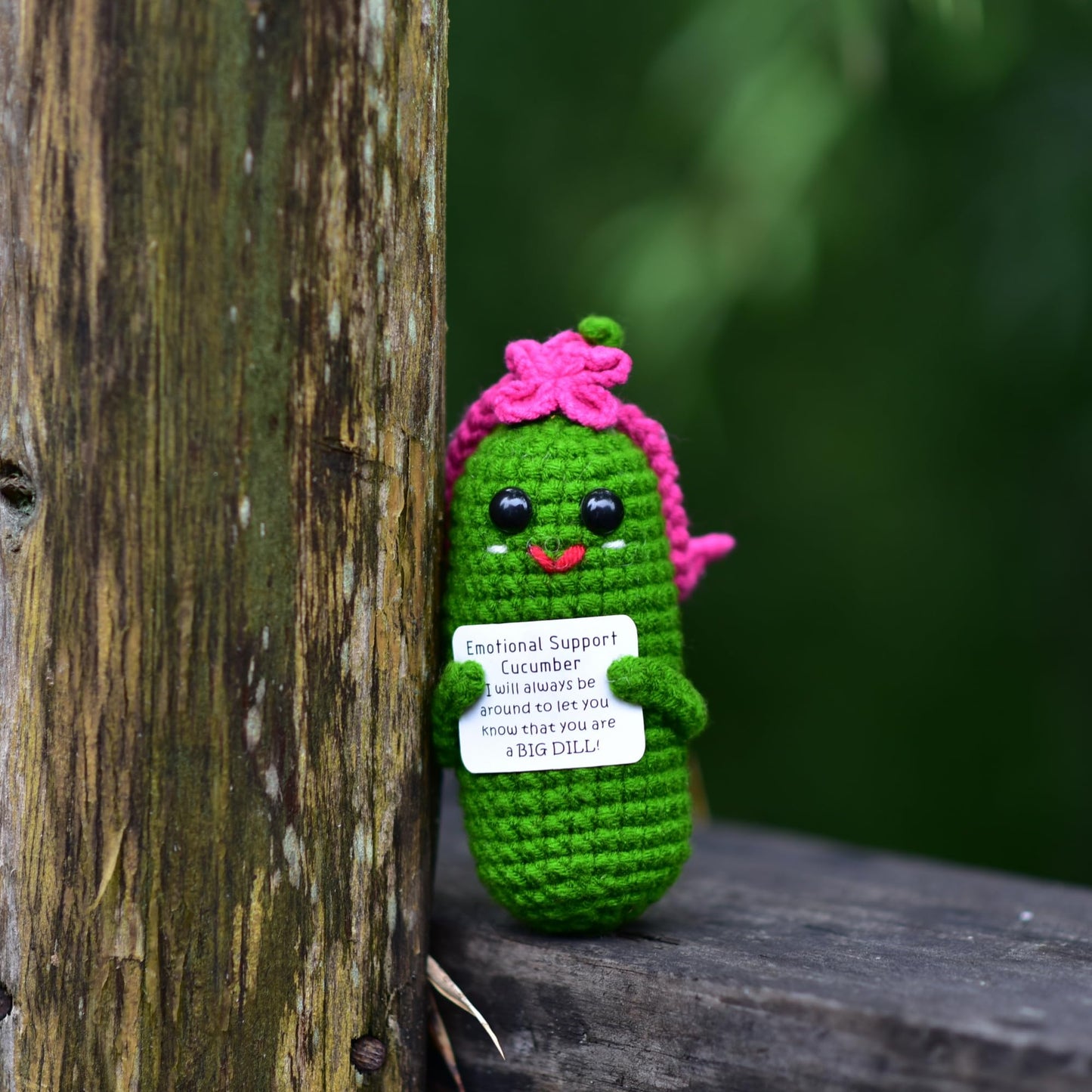 KALAWALK Funny Crochet Pickles 1 Pcs with Affirmations Cards for Inspirational Novelty Good Luck Gift and Party Decorations (KK-CKD04- REDCUM)