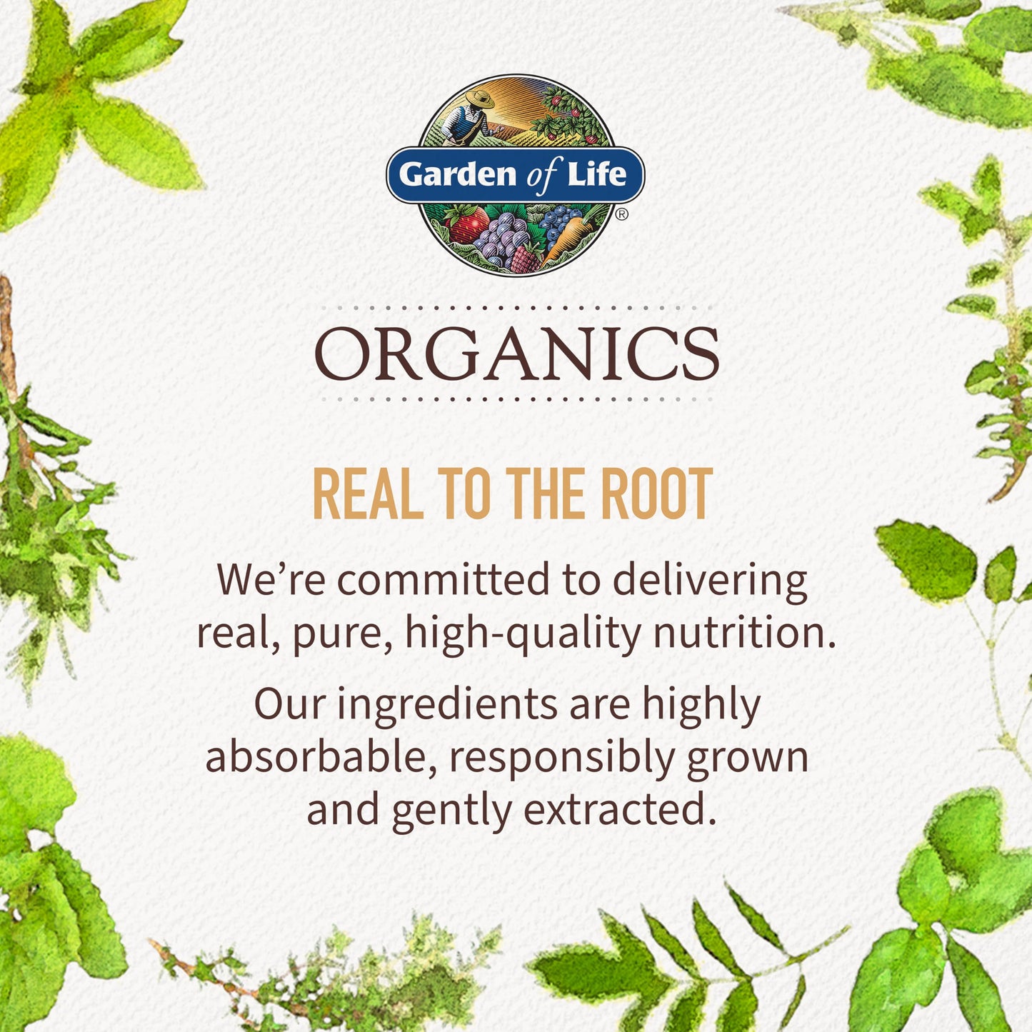 Garden of Life Organics Sleep Well Rest & Refresh 30 Tablets, Lemon Balm, Green Tea Extract L-Theanine, Valerian Root, Chamomile, Probiotics-Organic Non-GMO Vegan Gluten Free Herbal Supplement