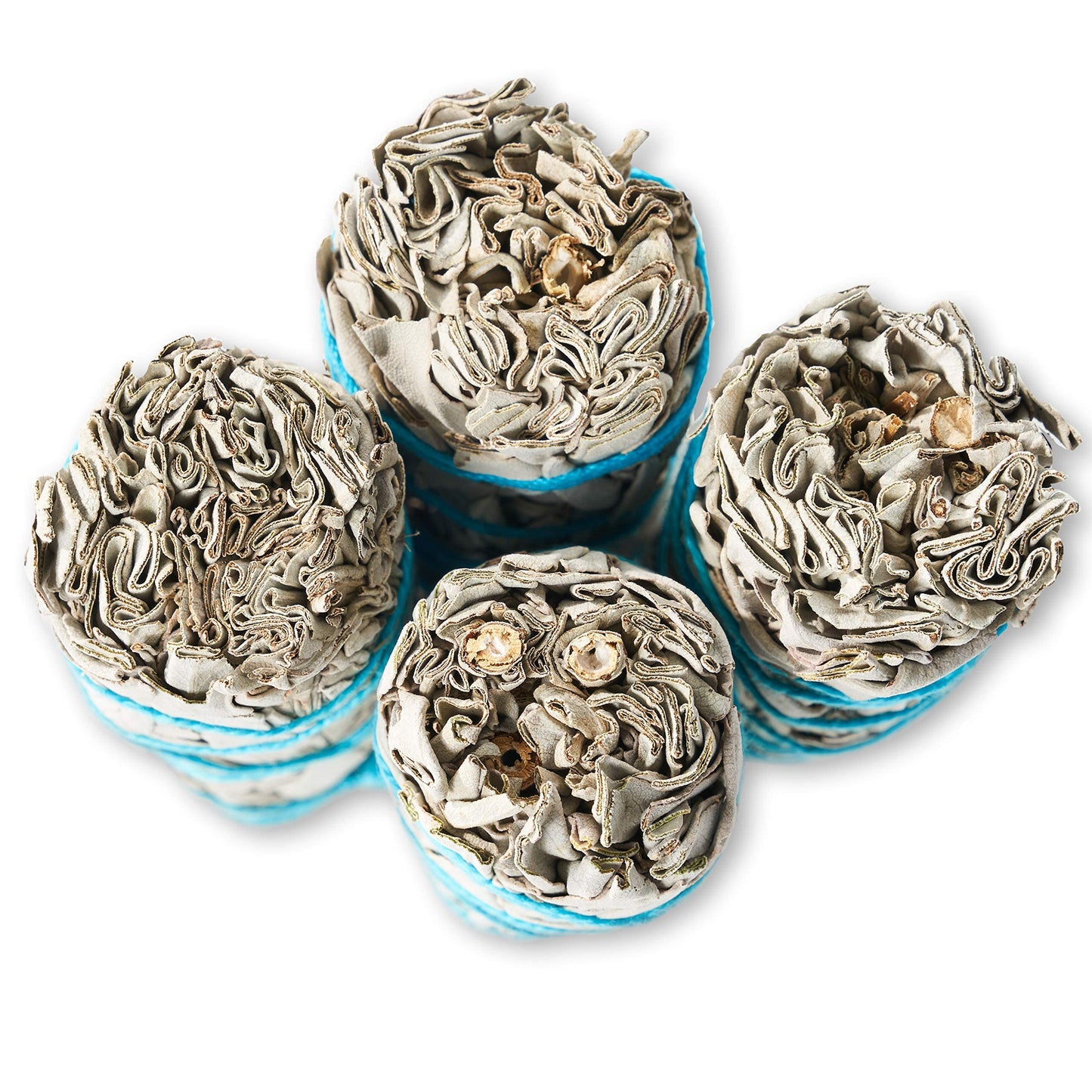 10 White Sage Smudge Sticks ~ Sustainably Grown Sage Bundles for Smudging, Smudge Kit, Ceremony, Spiritual Use, Home & Office Cleansing or Smoke Cleanse (10 Pack)
