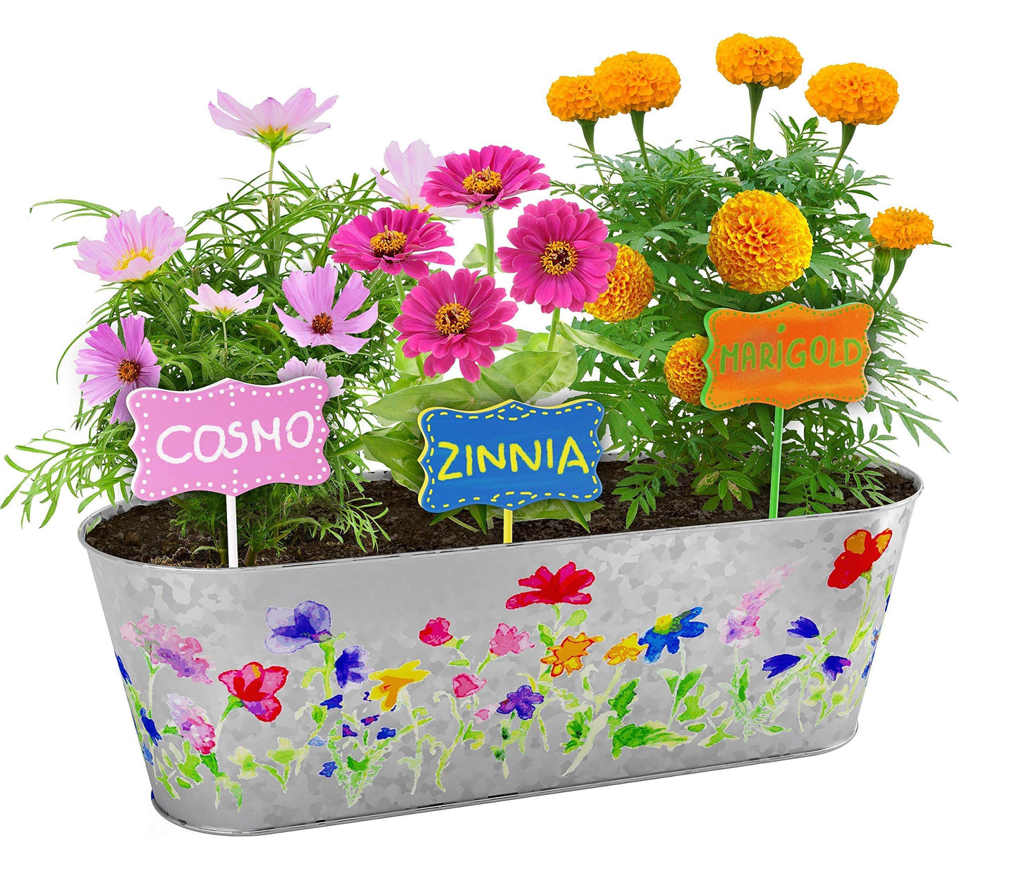 Paint & Plant Flower Growing Kit for Kids - Easter Gift Ideas Age 5 6 7 8-12 Year Old Girl - Best Birthday Crafts Gifts for Girls & Boys, Fun Children Gardening Kits, Art Projects for Ages 5-12 Years