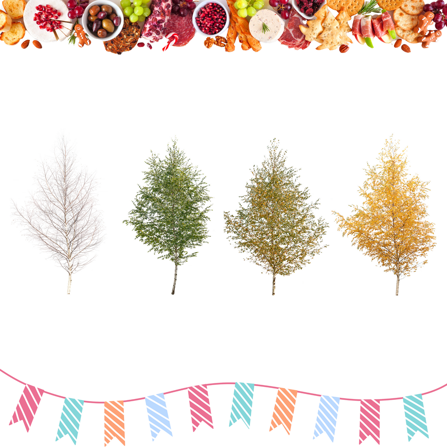 Seasonal & Holiday Finds