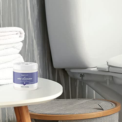 Amazon Basics Gel Odor Eliminator, Lavender, 1.06 Pound (Pack of 1)