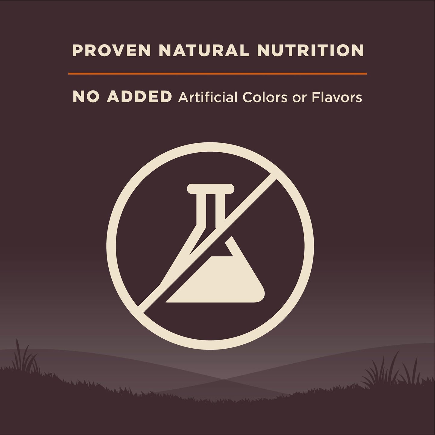 Wellness CORE Grain-Free High-Protein Small Breed Dry Dog Food, Natural Ingredients, Made in USA with Real Meat (Adult, Turkey, 4-Pound Bag)