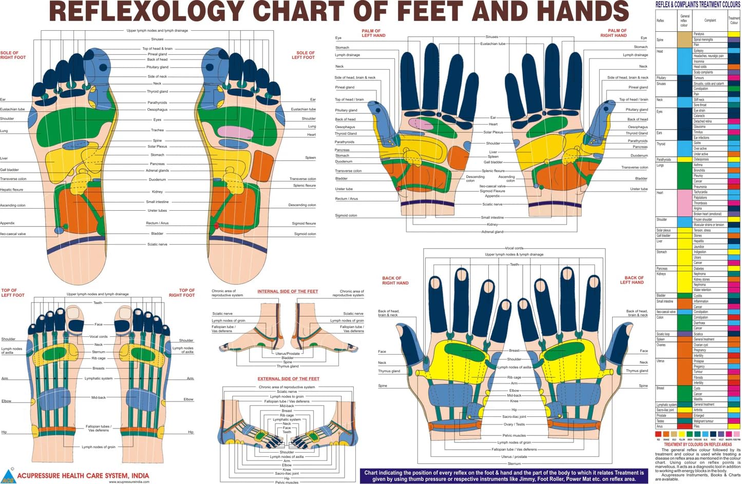 BOSKY Handmade Wooden Ancient Acupressure Spiked Hand Massager Exercise Therapy Deep Tissue Trigger Set of 2 Pcs, Sujok Ball and Rings with Reflexology Chart