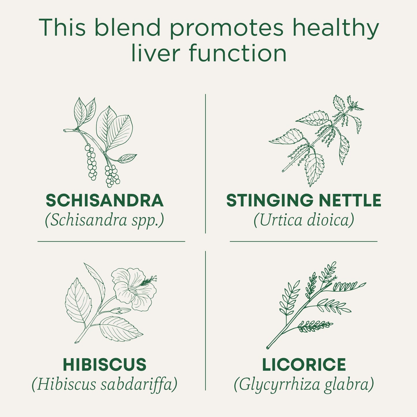 Traditional Medicinals Tea, Organic Everyday Detox Schisandra Berry, Supports Healthy Liver Function, Detox, 16 Tea Bags
