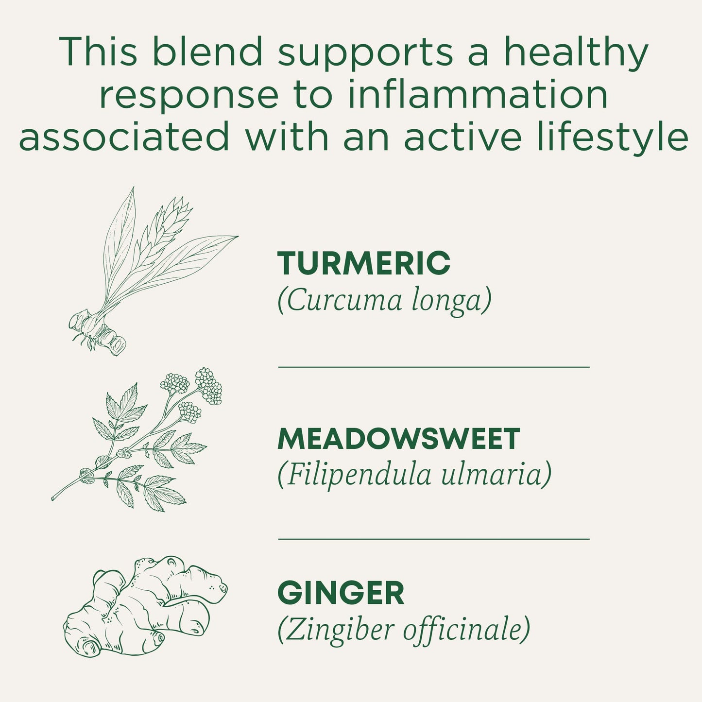 Traditional Medicinals Tea, Organic Turmeric w/Meadowsweet & Ginger, Supports a Healthy Response to Inflammation, 16 Tea Bags