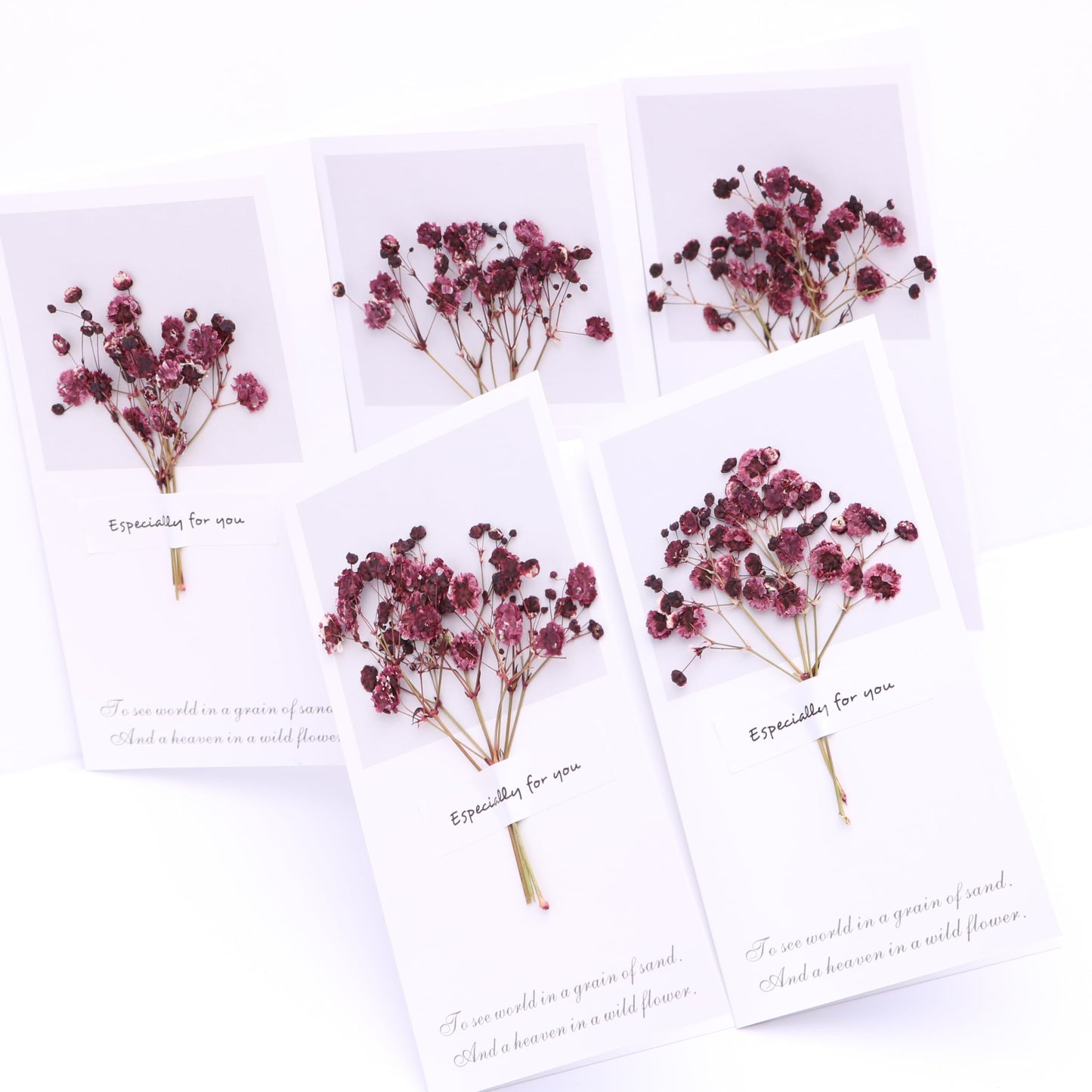 LYFORTZY 30 Pcs Dark Red Baby's Breath Real Dried Pressed Flowers.Vacuum-Packed Mini Dried Baby's Breath Flowe Specimen +1 Tweezers, for Resin Art /DIY Making Wedding Card/ Home Party Decor.