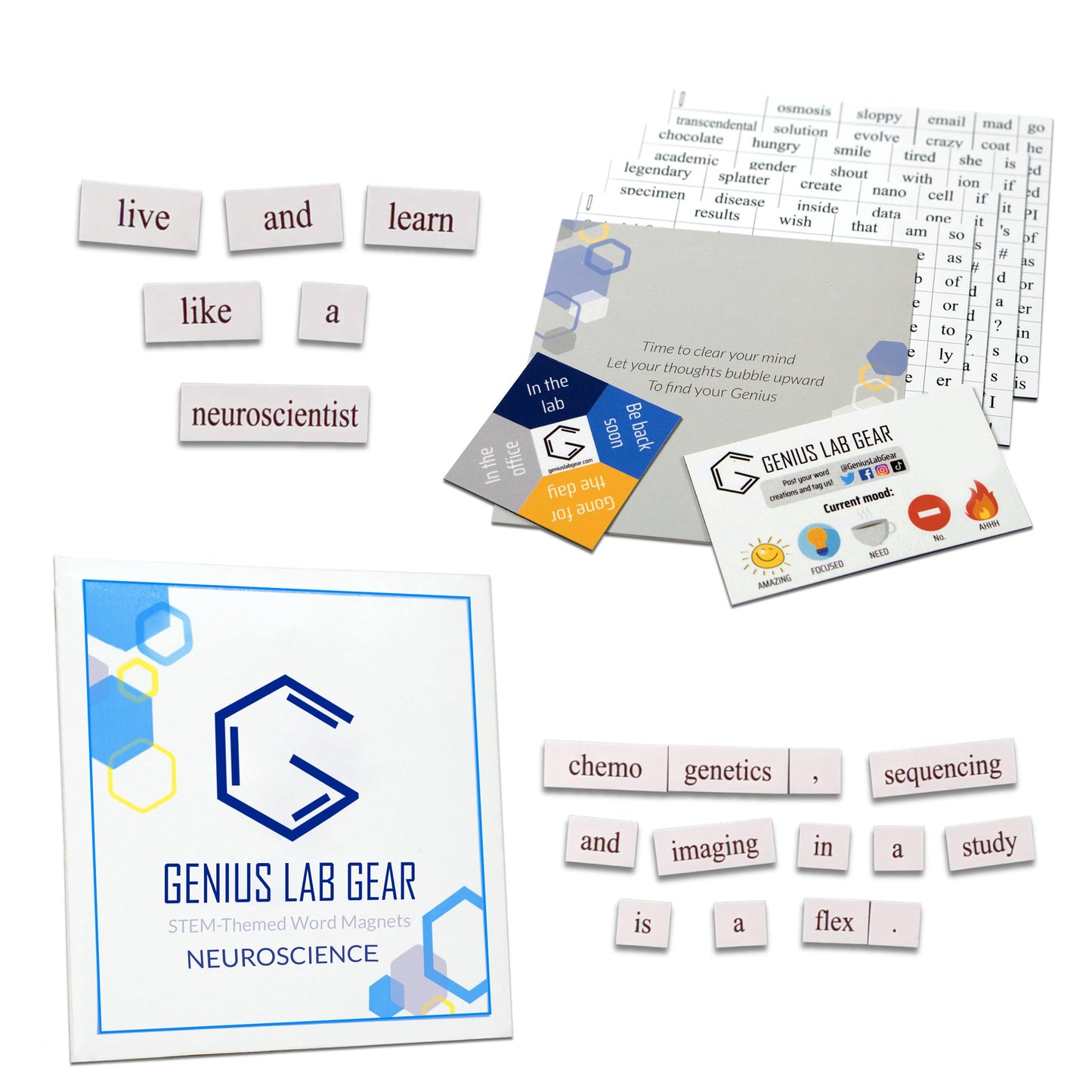 Neuroscience Word Magnets Kit - Funny Nerdy Poetry Set for College to PhD & Professional Neuroscientist- Ideal Geek Cool Tech Gift Office Refrigerator-Magnetic White Board - For STEM Students & Adults