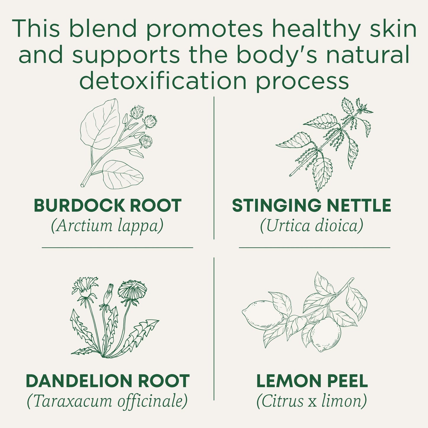 Traditional Medicinals Tea, Organic Everyday Detox Lemon, Supports Healthy Skin & Liver Function, Detox, 16 Tea Bags