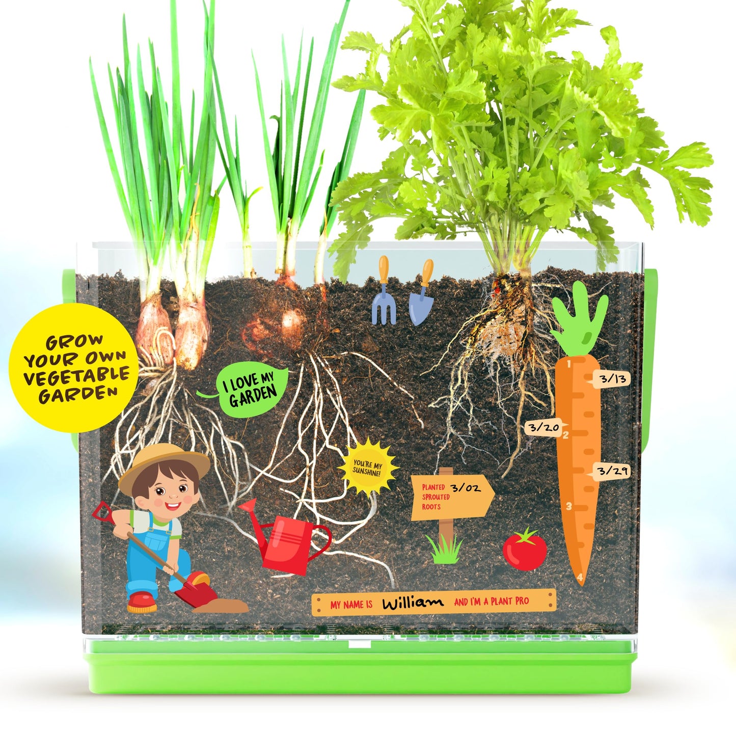 Root Viewer Kit for Kids - Easter Gifts - Grow Your Own Plant for Boys & Girls - Science STEM Toy & Craft Growing Kits for Ages 4-8 Birthday Gifts for Boy, Girl 4, 5, 6, 7, 8, Year Old - Gardening Toy